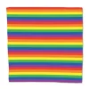 Rainbow Bandana