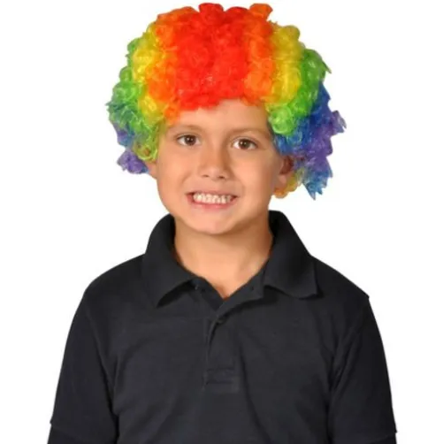 Rainbow Clown Wig