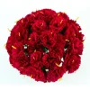 Red Carnations