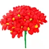 Red Terecitas Flowers