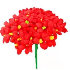 Red Terecitas Flowers