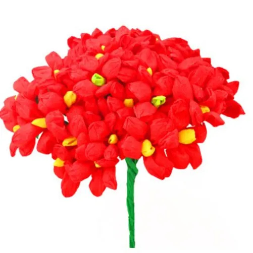 Red Terecitas Flowers