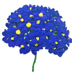 Royal Blue Terecitas Flowers