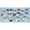 Silver Regal Party Kit for 25