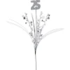 Silver 25 Star Spray