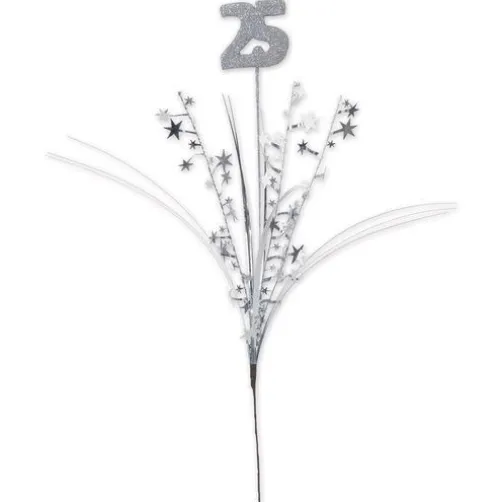 Silver 25 Star Spray