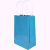 Small Gift Bag Turquoise