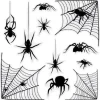 Spider and Web Clings