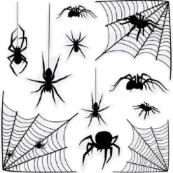 Spider and Web Clings
