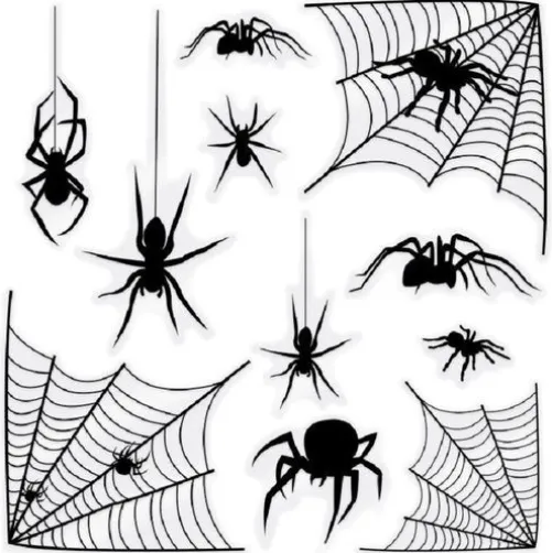 Spider and Web Clings