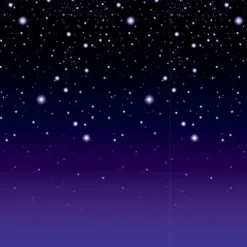 Starry Night Backdrop