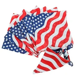 Stars and Stripes Bandana