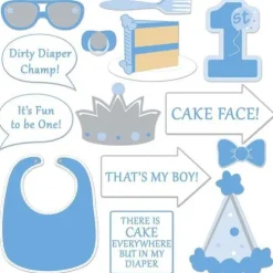 1st Birthday Boy Fun Signs
