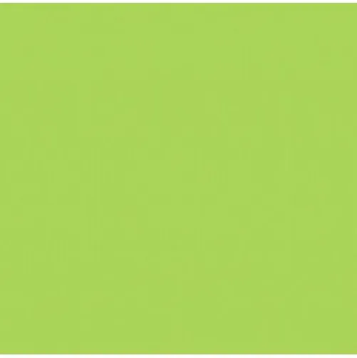 Tissue Paper Retro Green