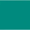 TISSUE QUIRE -TEAL