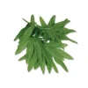Tropical Fern Leaf Wristlet /Anklet