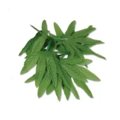 Tropical Fern Leaf Wristlet /Anklet