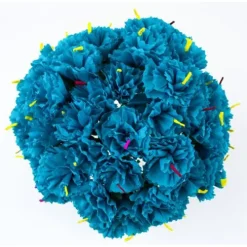 Turquoise Carnations