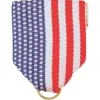 U.S.A. Flag Ribbon Drape