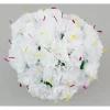 White Carnations