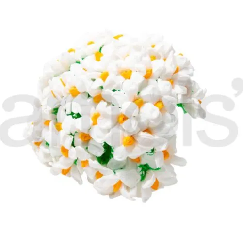 White Terecitas