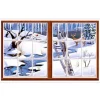 Winter Insta-View