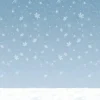 Winter Sky Backdrop