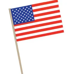 4"x 6" Plastic American Flag