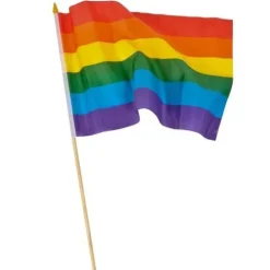 12" x 18" Rainbow Flag