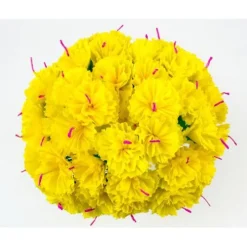 Yellow Carnations