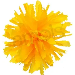 Yellow Marigold Flower